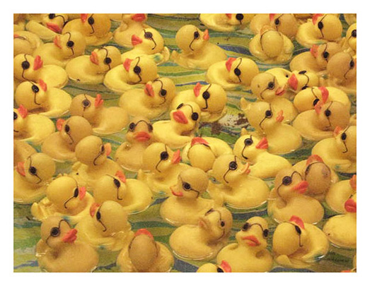 Francesca Anthony Rubber Ducks